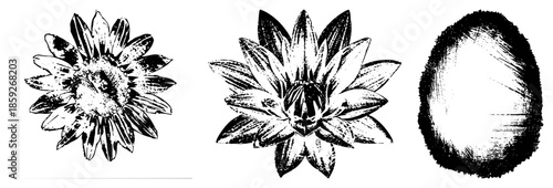 Three and abstract vector illustrations in black and white