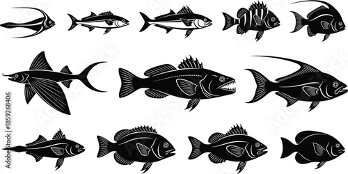 Black fish silhouettes collection featuring various marine species like flying fish and bass icons isolated on white background for aquatic nature design elements