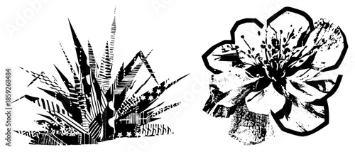 stylized plant and flower vector illustration