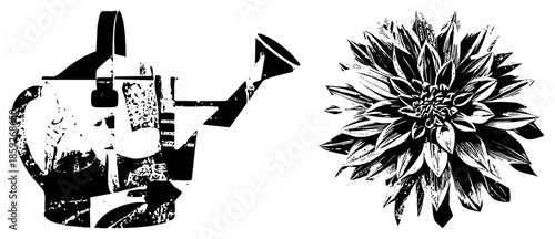 watering can and dahlia flower vector illustration