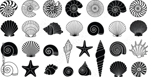 Collection of black seashell silhouettes and starfish icons featuring nautilus scallop and spiral shapes isolated on white background for marine nature beach designs