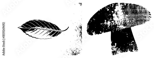 leaf and mushroom vector illustration