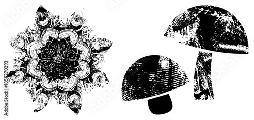 mandala and mushrooms vector illustration