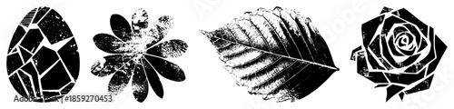 four botanical vector in black and white