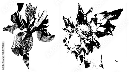 abstract vector art black and white