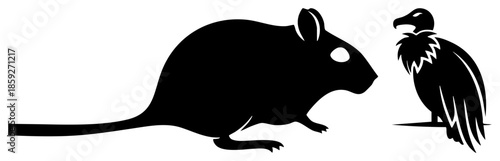 rat and vulture facing each other