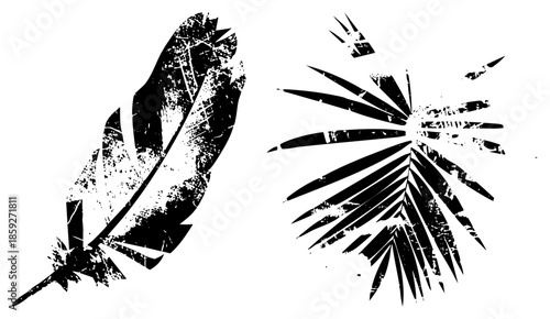feather and palm leaf vector