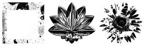 lotus flower sunflower frame vector set