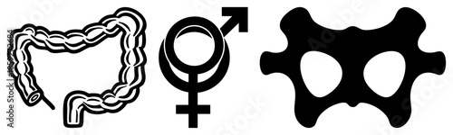 intestinal tract male female cell set