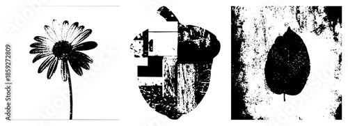 daisy flower leaf acorn silhouette vector set