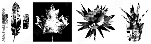 abstract geometric leaf and feather