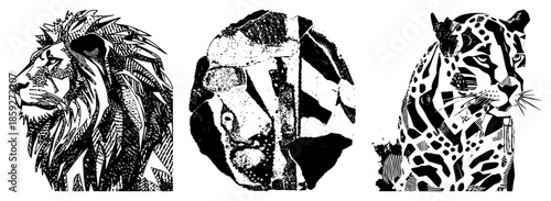 lion cheetah leopard vector portraits