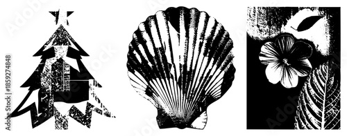 Christmas tree scallop hibiscus vector