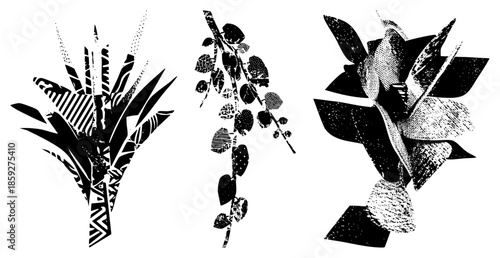 three stylized plant illustrations with leaves and stems