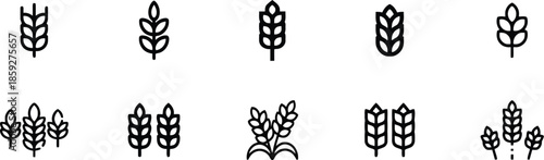Set of Wheat Ear Icon Illustrations for Agriculture and Harvest Themes Depicted on Transparent Background in Simple Vector Style Depicting Farming and Crops