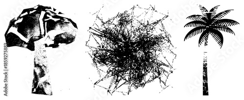 mushroom spiderweb palm tree vector