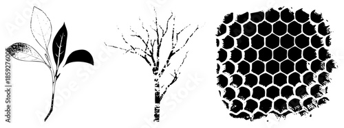 plant sprout bare tree honeycomb