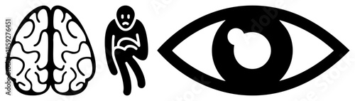 brain human eye