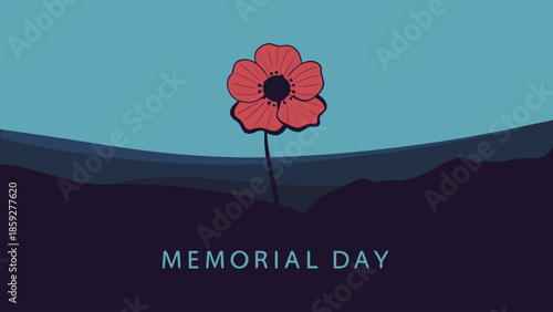 poppy flower vector illustration