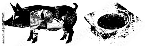 pig anatomy cutaway illustration with circular void graphic