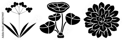 three stylized black flowers on transparent background