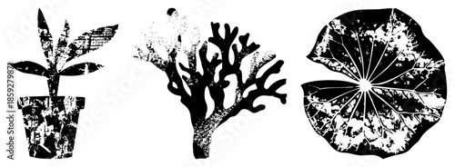 potted plant leaf vector set