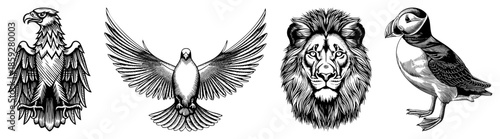 eagle lion puffin vector illustrations