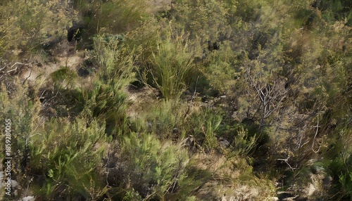 Amazing natural scenes, emphasizing and conveying the purity of emotion, the play of light and shadow, captured emotions, a close-up.