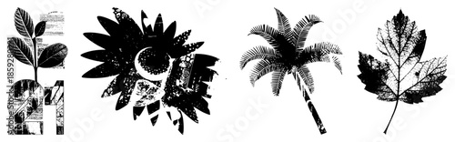 four stylized leaves and plant in black and white