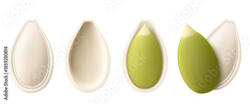 Peeled pumpkin seeds isolated on white background. Pumpkin seed in open shell, whole husk. Realistic 3d vector, close-up. Used for advertising, packaging, collage, web design food, gardening, busin