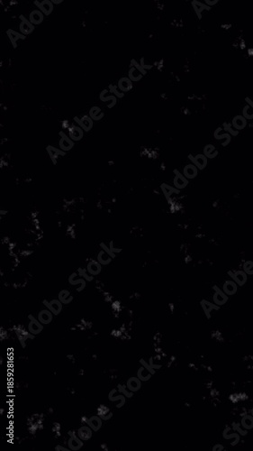 Abstract White Particles Floating on Black Background, Dynamic Motion.