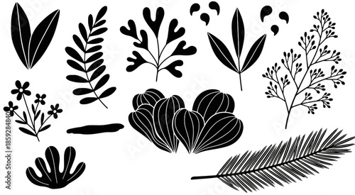 Placeholder image display