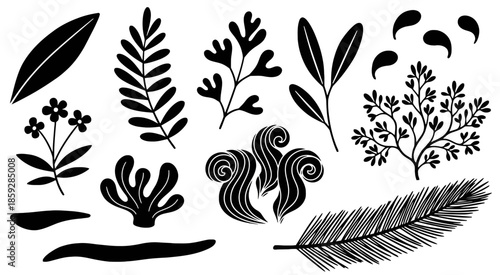 Placeholder image display