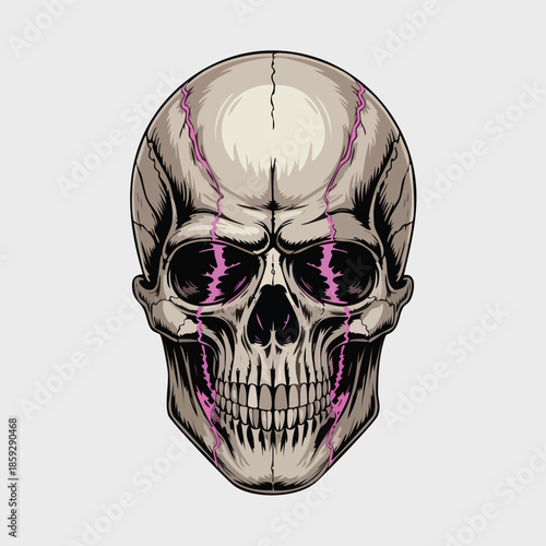Detailed Skull Illustration with Shaded Bone Structure.