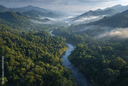 Winding river cutting through dense rainforest with misty mountains in background during early morning light creating peaceful and serene atmosphere