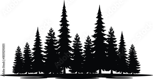 Evergreen forest silhouette illustration, pine tree woodland landscape isolated white background vector nature scenery minimal black design art graphic scene