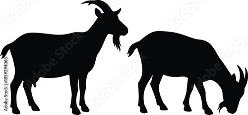 Goat silhouette illustration, farm animal pair standing and grazing isolated white background vector livestock agriculture rural design nature pastoral graphic