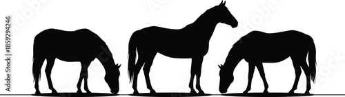 Horse silhouette illustration, grazing and standing equine animals isolated white background vector farm nature countryside minimalist design art poster graphic