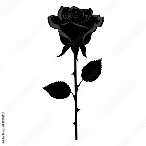 Black rose silhouette. Isolated on transparent background. Vector illustration.