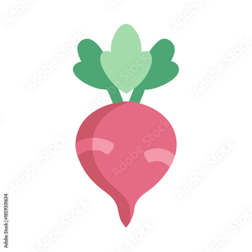 Εκτύπωση καμβά Stylized turnip vector icon illustration on white background