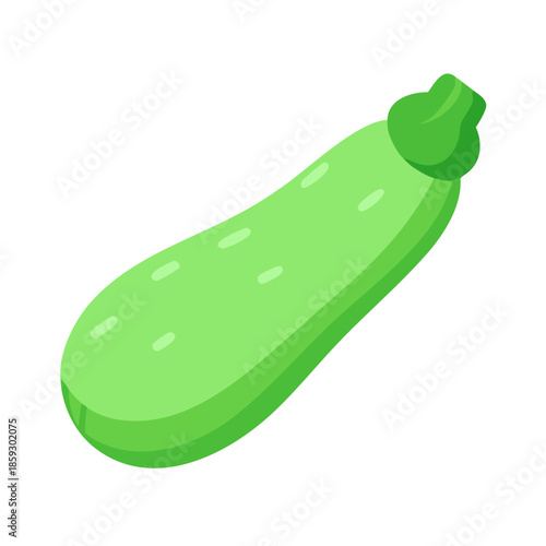Stylized Zucchini Illustration on white background Fresh Green Food