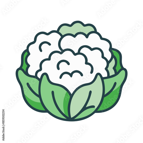 Stylized Cauliflower Icon with Rounded Edges on white background