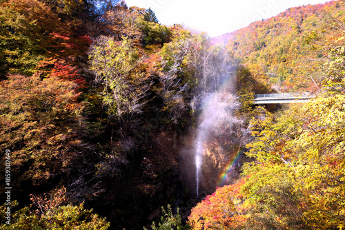 日光市　川俣の間欠泉