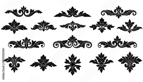 A set of leaf, nature, floral, decorative element. Plant symbols