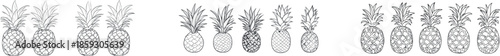 Modern illustration of pineapple fruit is created using a continuous single line drawing as a minimalist art element for summer travel and holiday concept