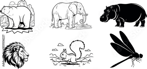 Wildlife animals illustrations featuring elephant hippopotamus dragonfly and lion