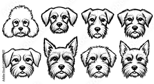 Dogs chalk scribbles set in whimsical sketchy style. Charcoal sketch drawings of funny puppy heads. Cute canine animals, outline hand-drawn line art doodles. Creative handdrawn vector illustrations