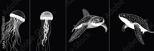 Monochrome vector illustrations of jellyfish, sea turtle, and whale shark on black background with minimalist flat design style