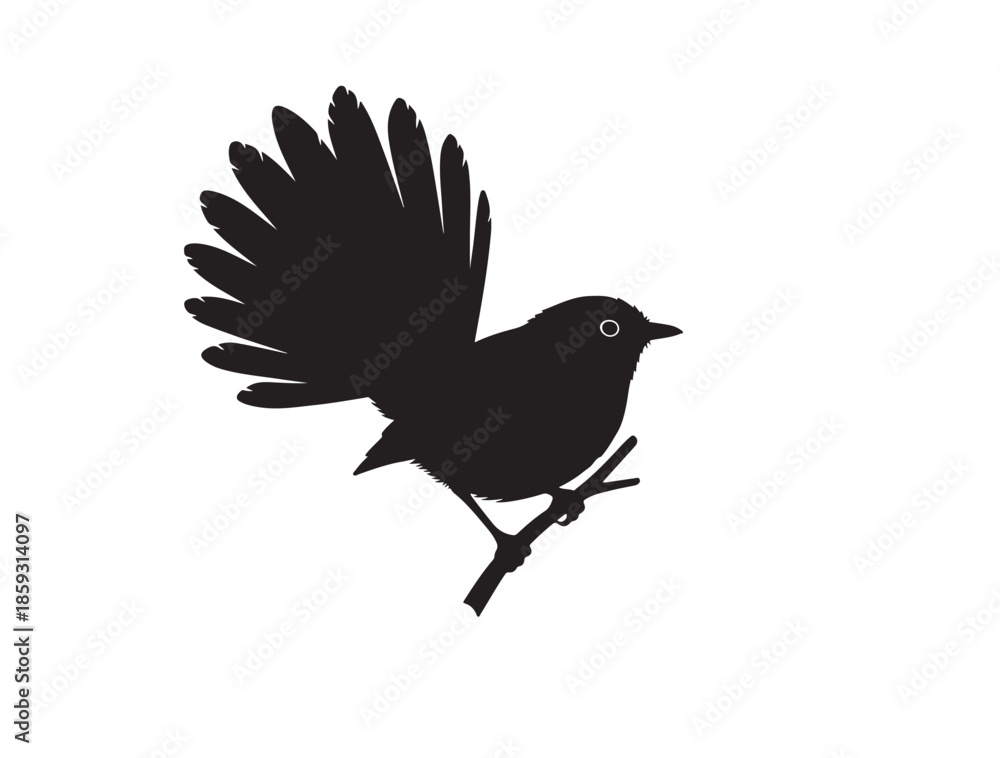 Fototapeta premium Fantail silhouette image white background.