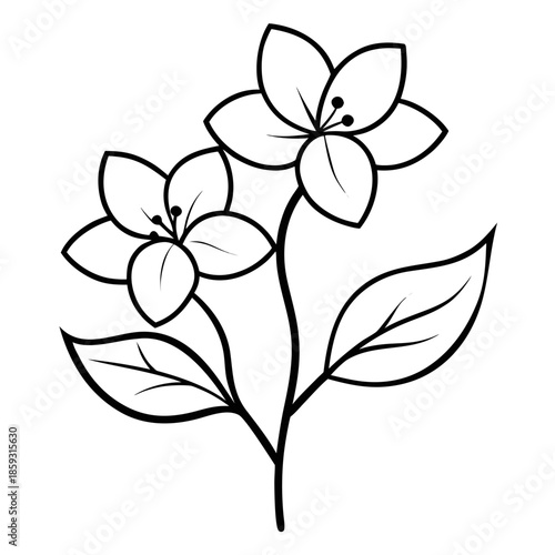 vector illustration of cornus mas line art flower